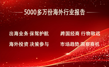 2020年越南電子商務產業白皮書
